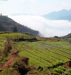 Sapa Tours